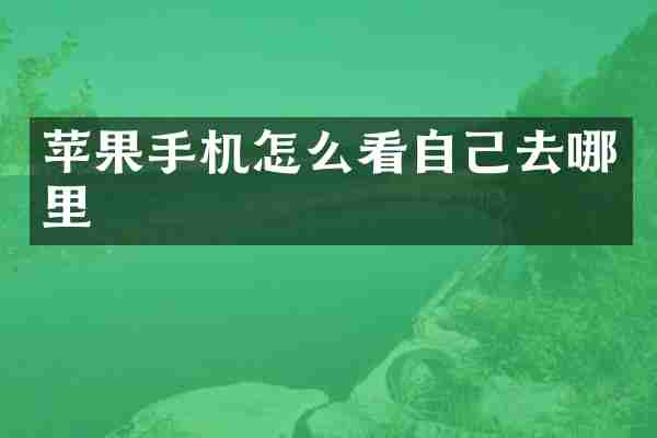 苹果手机怎么看自己去哪里