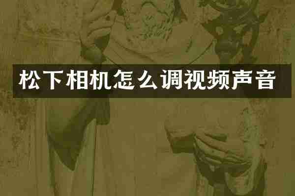 松下相机怎么调视频声音
