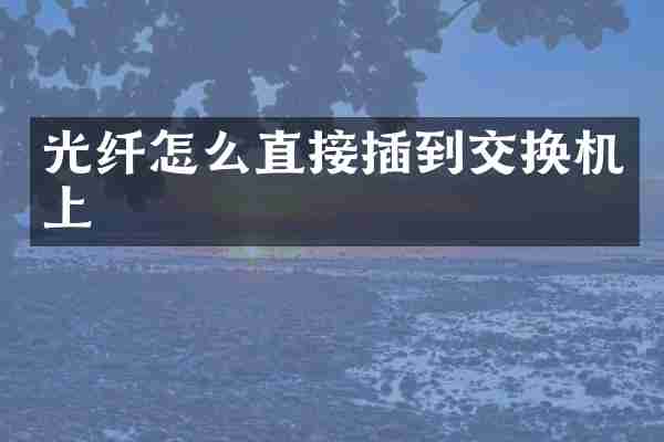 光纤怎么直接插到交换机上