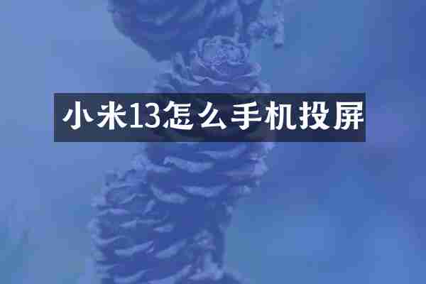 小米13怎么手机投屏