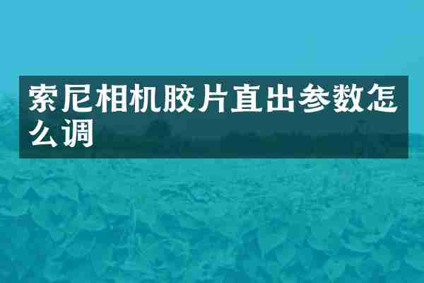 索尼相机胶片直出参数怎么调