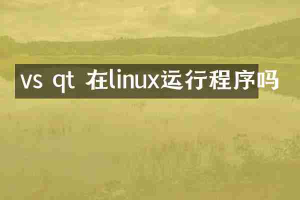 vs qt 在linux运行程序吗