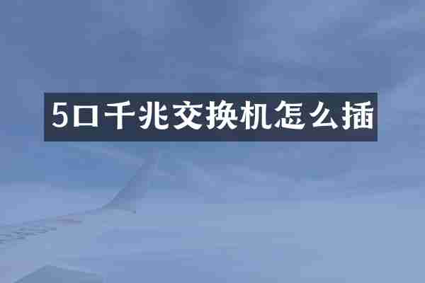 5口千兆交换机怎么插