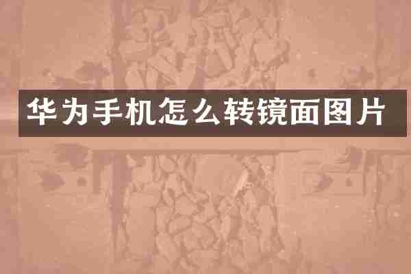 华为手机怎么转镜面图片