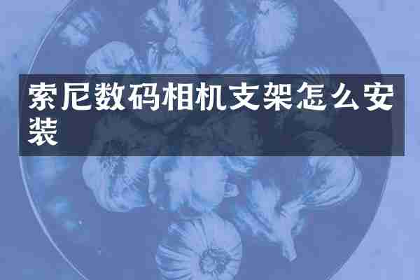 索尼数码相机支架怎么安装