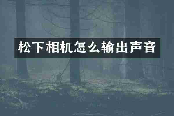松下相机怎么输出声音