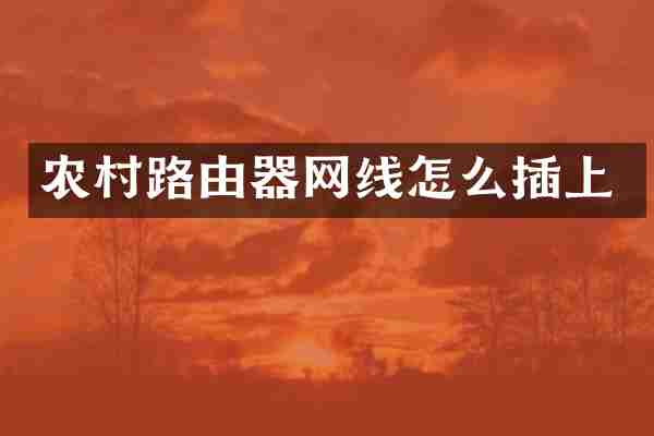 农村路由器网线怎么插上