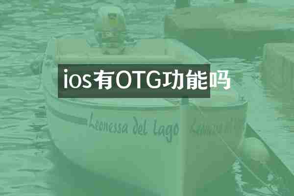 ios有OTG功能吗