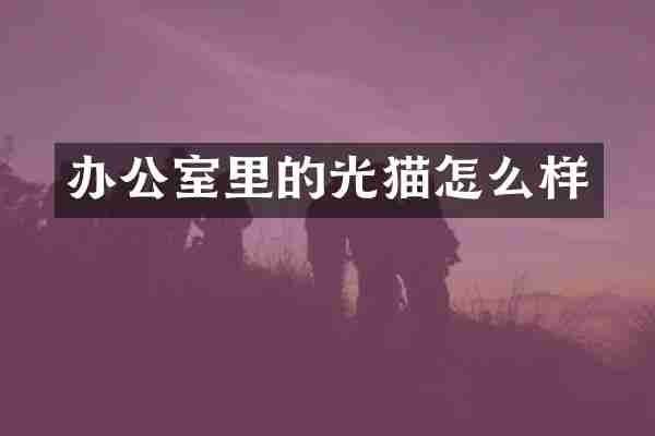 办公室里的光猫怎么样