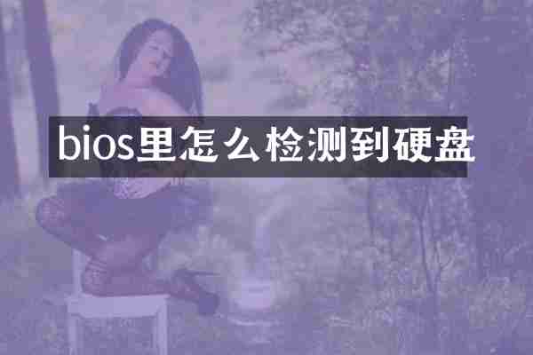 bios里怎么检测到硬盘