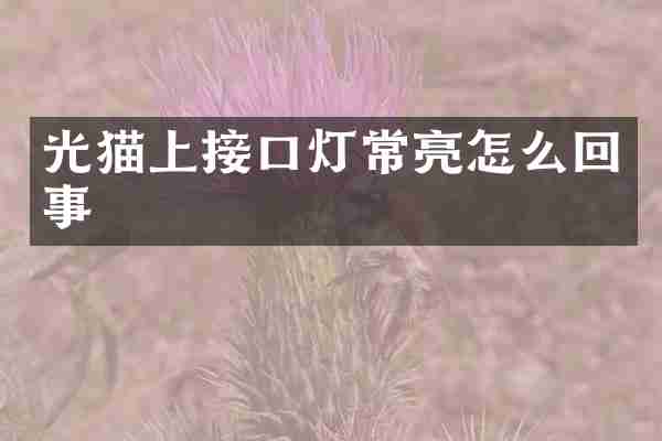 光猫上接口灯常亮怎么回事