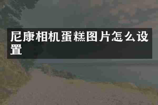 尼康相机蛋糕图片怎么设置