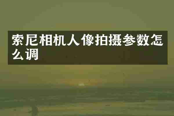 索尼相机人像拍摄参数怎么调