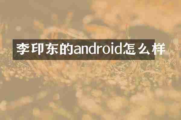 李印东的android怎么样