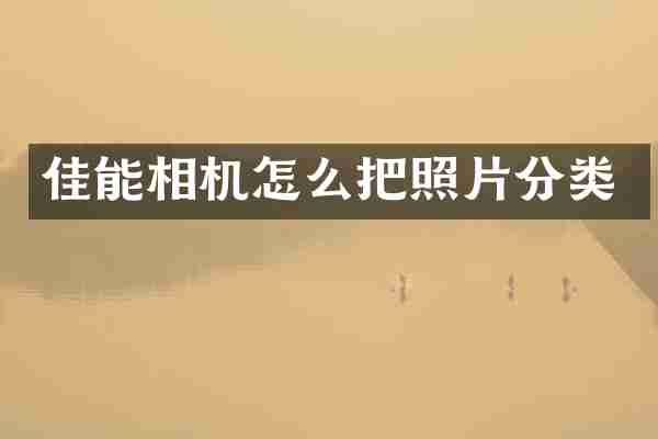 佳能相机怎么把照片分类