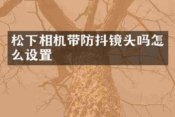松下相机带防抖镜头吗怎么设置