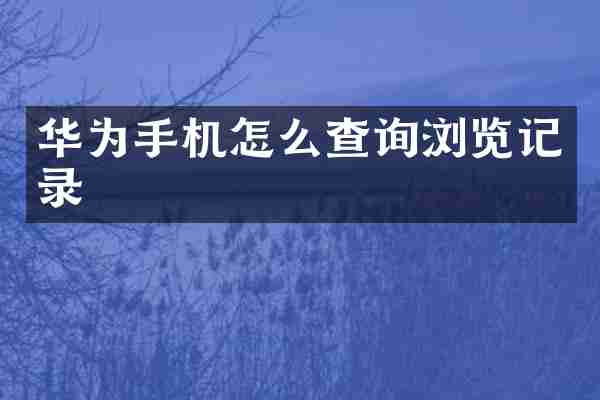 华为手机怎么查询浏览记录
