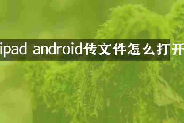 ipad android传文件怎么打开