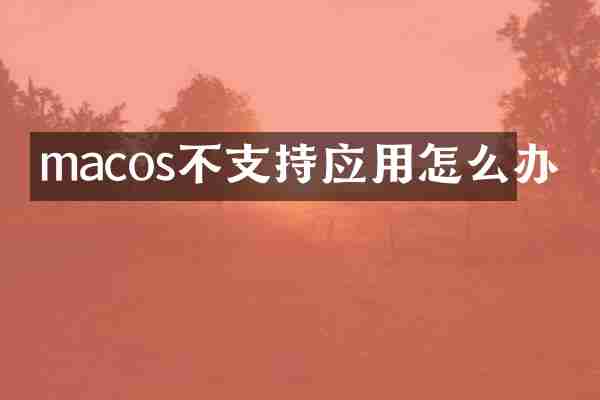macos不支持应用怎么办
