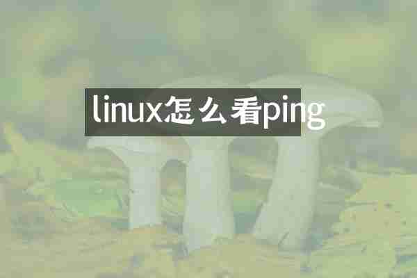 linux怎么看ping