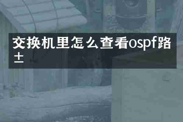 交换机里怎么查看ospf路由