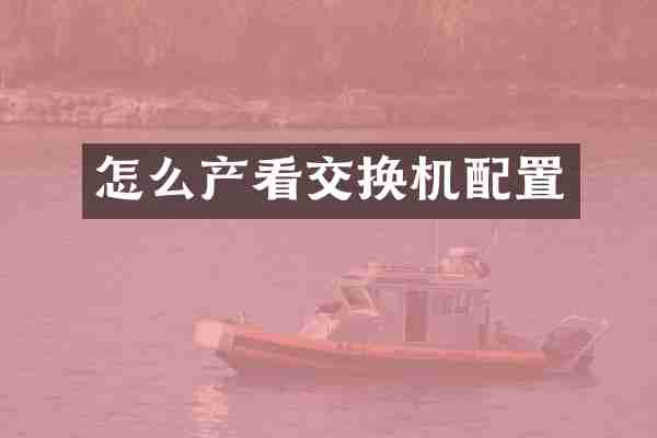 怎么产看交换机配置