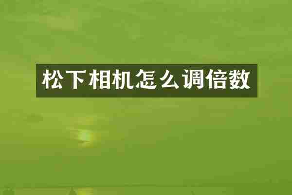 松下相机怎么调倍数