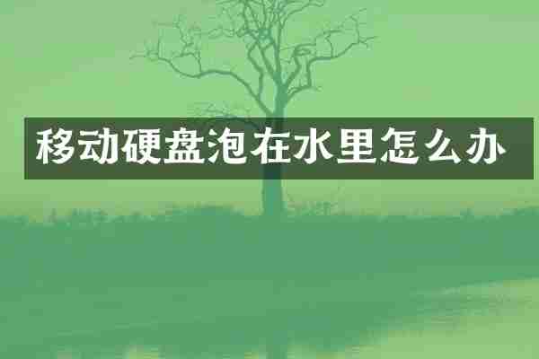 移动硬盘泡在水里怎么办