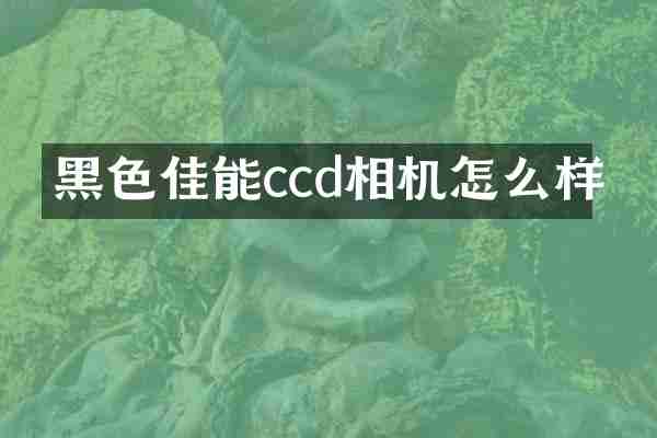 黑色佳能ccd相机怎么样