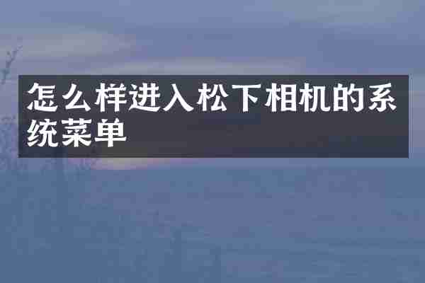 怎么样进入松下相机的系统菜单