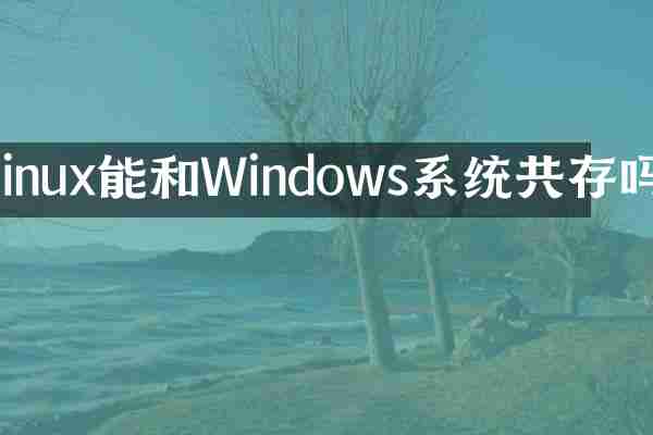 linux能和Windows系统共存吗