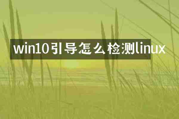 win10引导怎么检测linux