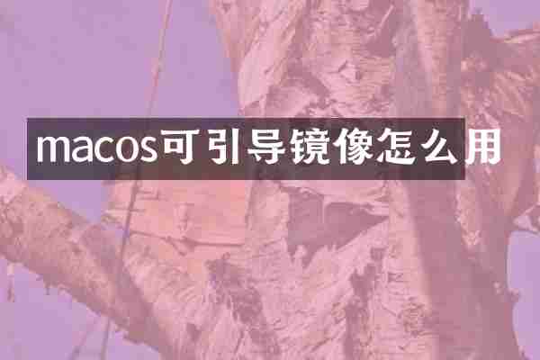 macos可引导镜像怎么用
